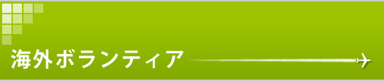 イルカクルーズ船ボランティア